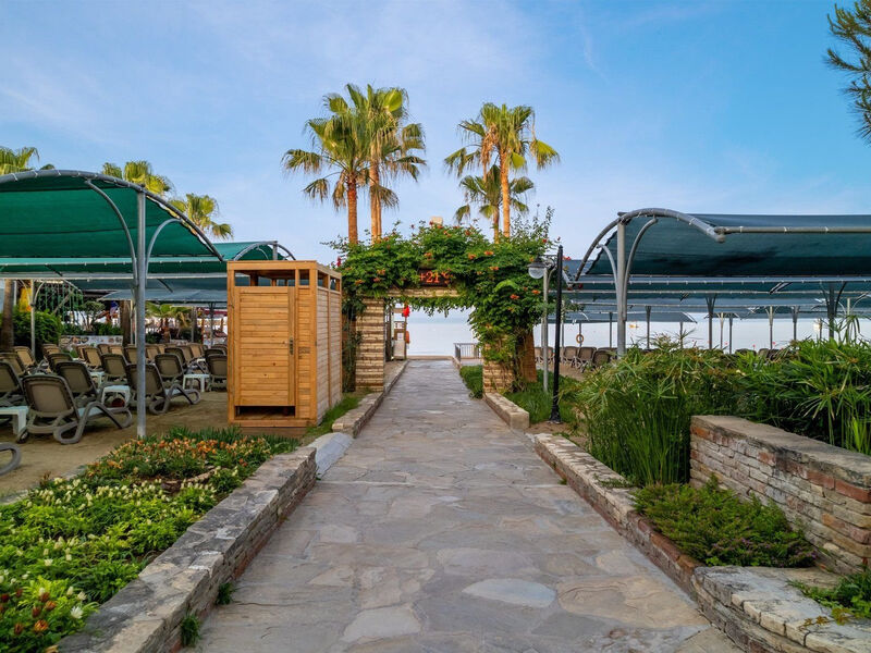 Trendy Palm Beach