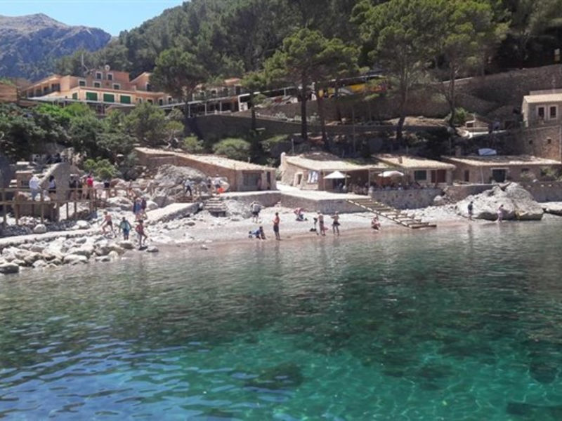 Trh Magaluf