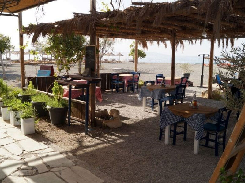 Tropica Club