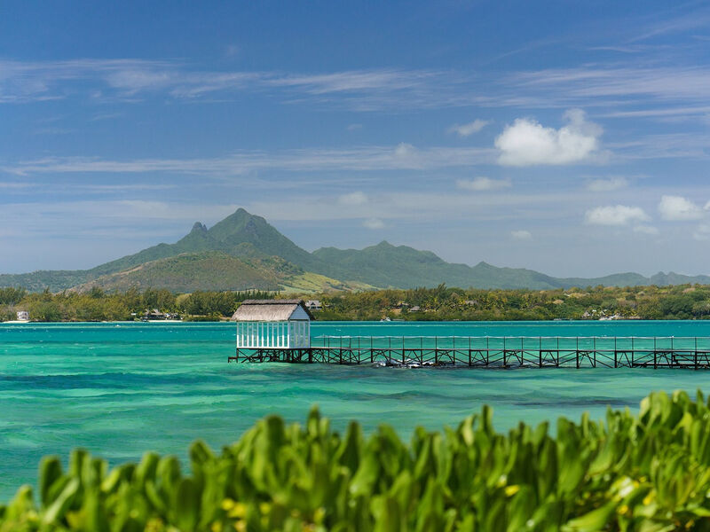 Tropical Attitude