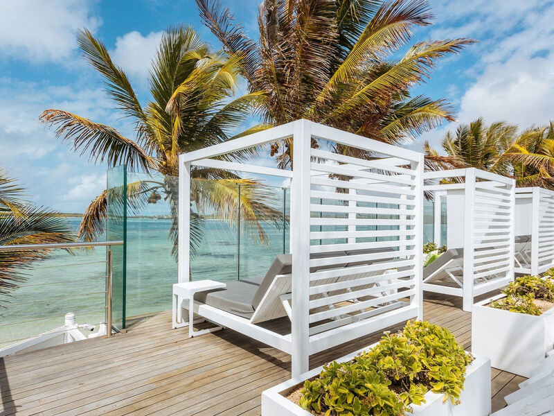Tropical Attitude