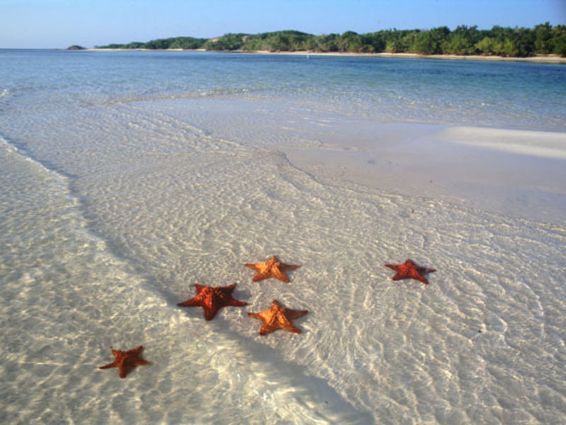 Tryp Cayo Coco