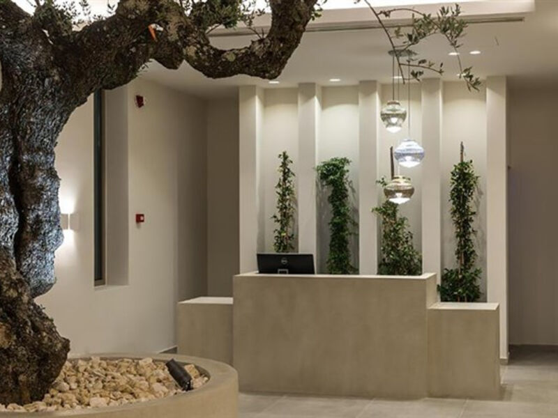Tsamis Zante Suites
