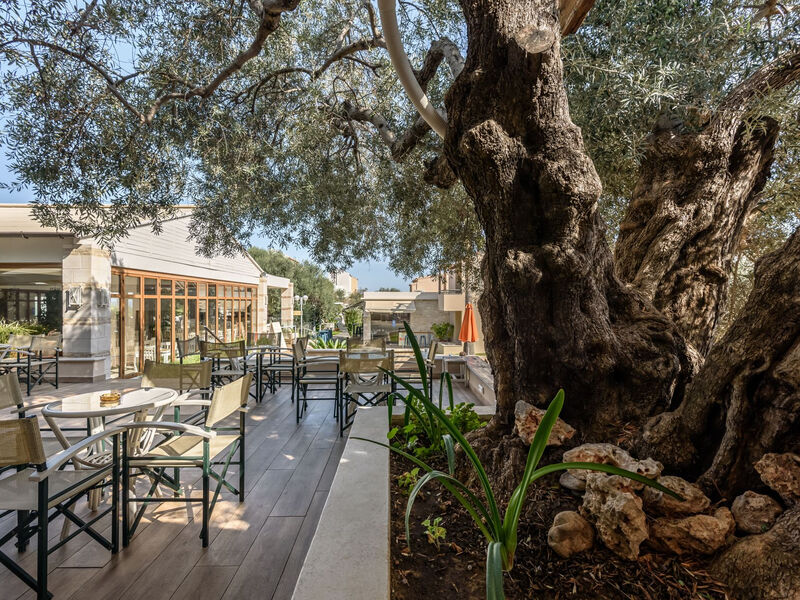 Tui Suneo Althea Village