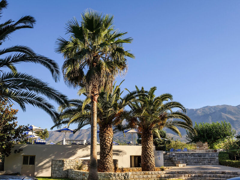 Vantaris Garden & Corner