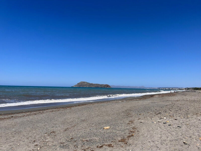 Venus Beach