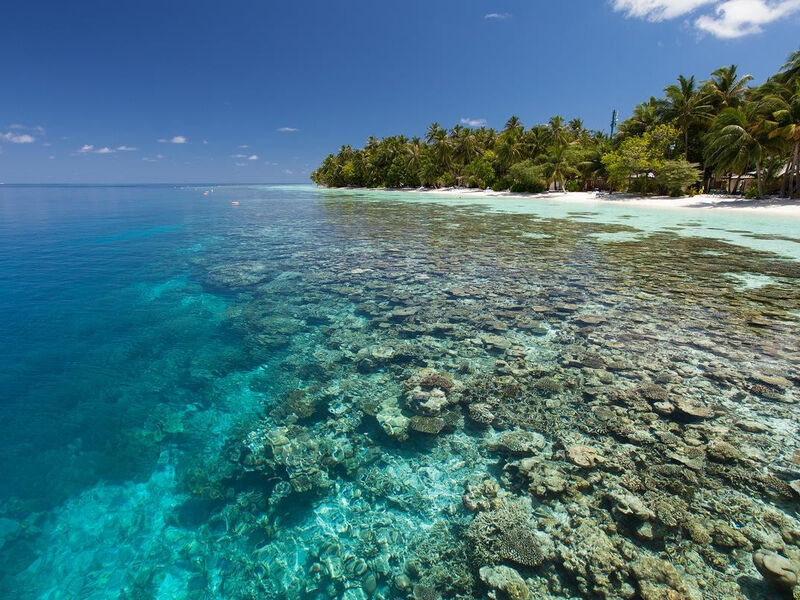Vilamendhoo Island Resort
