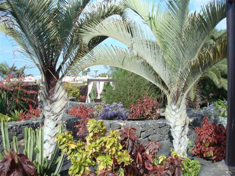 Villa Vik - Hotel Boutique