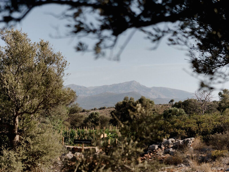 Village Heights Resort