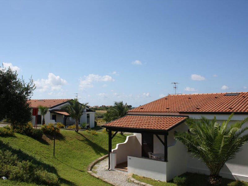 Dolomiti Sul Mare