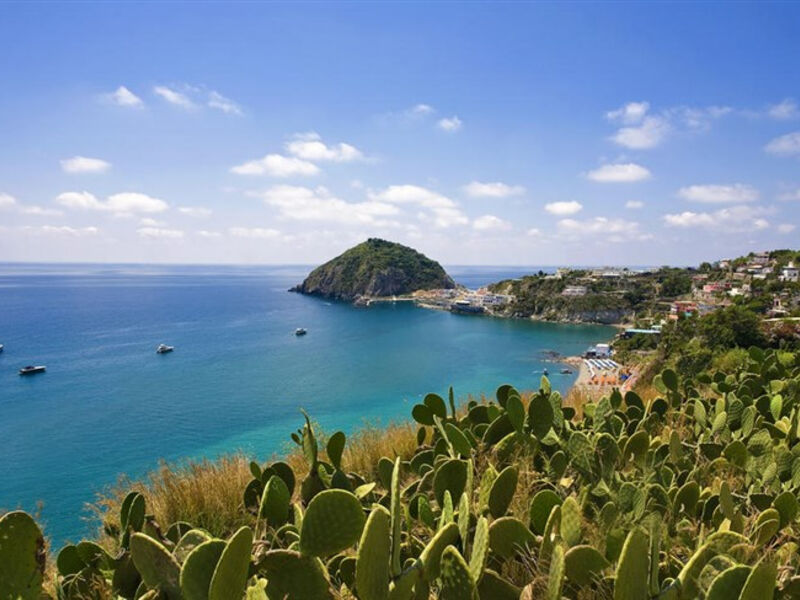 Vittorio