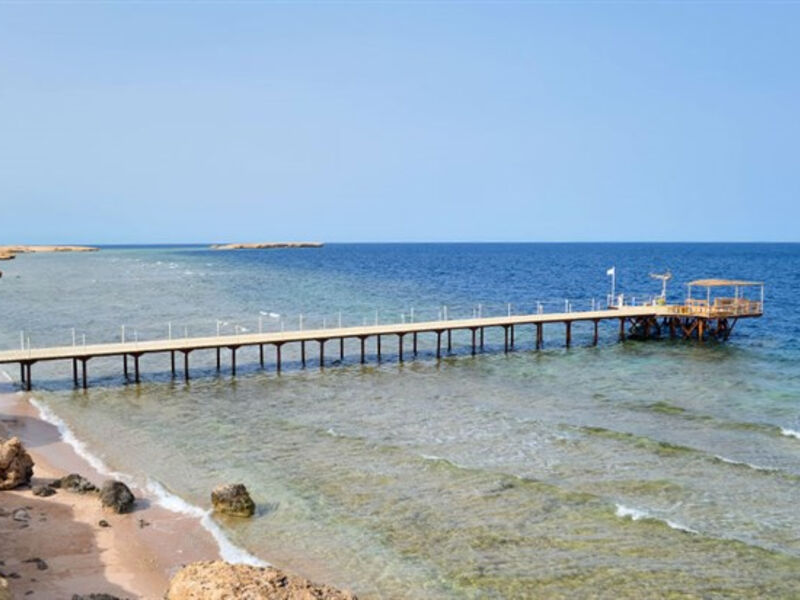 Viva Blue Resort And Diving Lodge