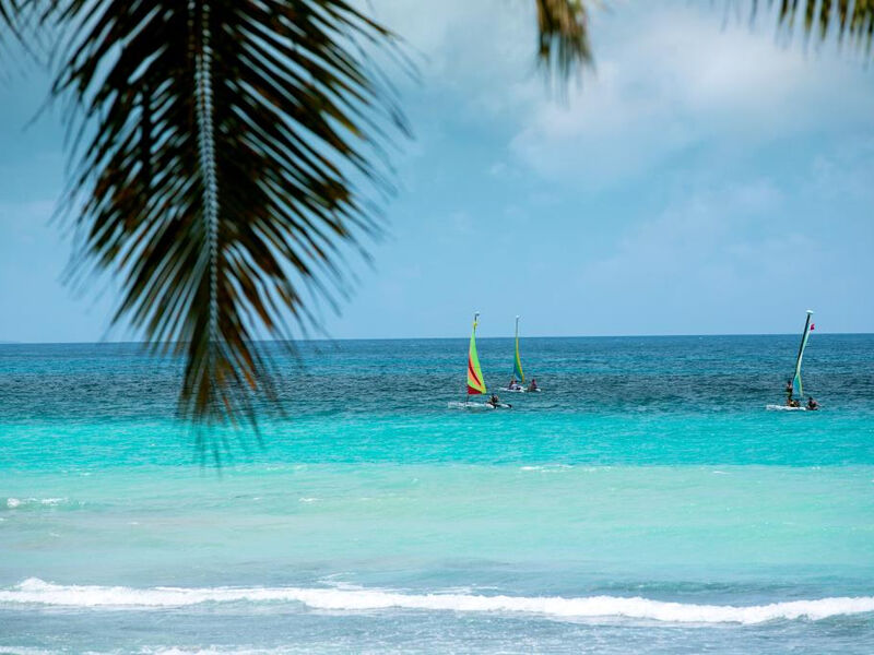 Viva Dominicus Beach