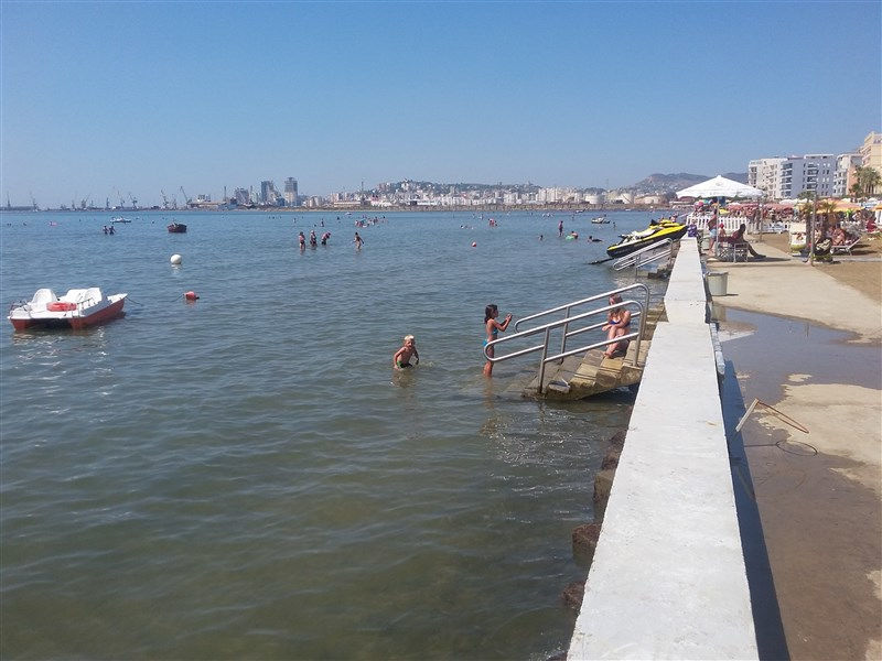 Vivas