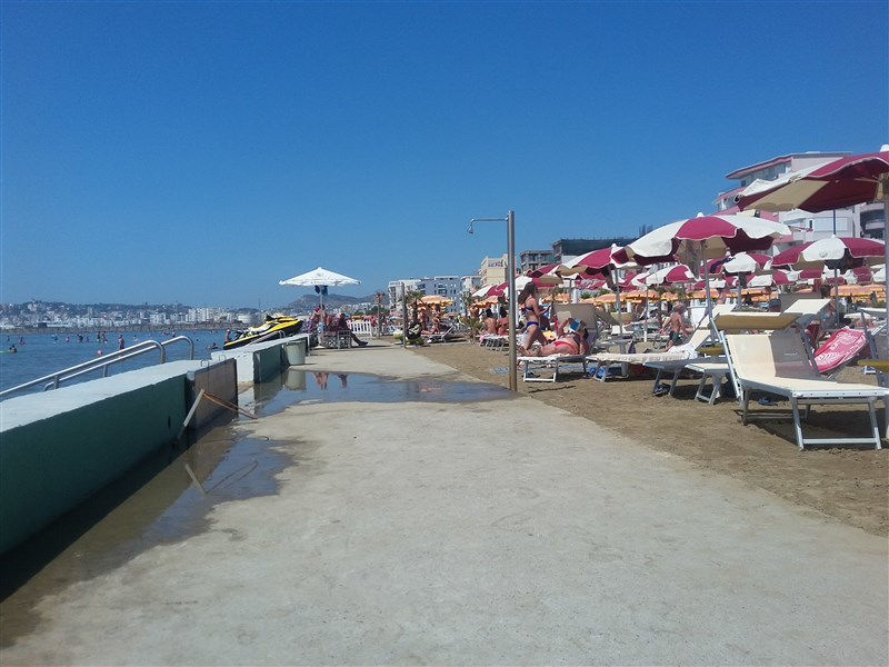 Vivas