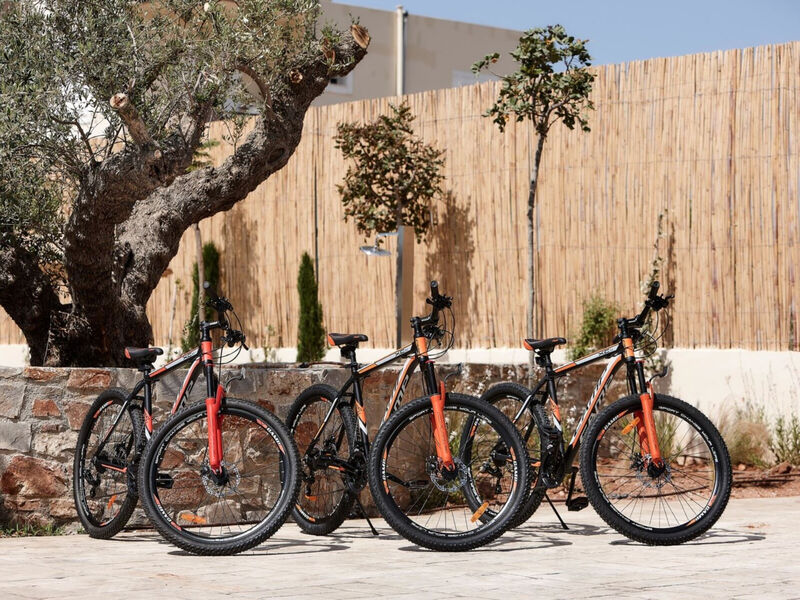 Volta Suites & Villas