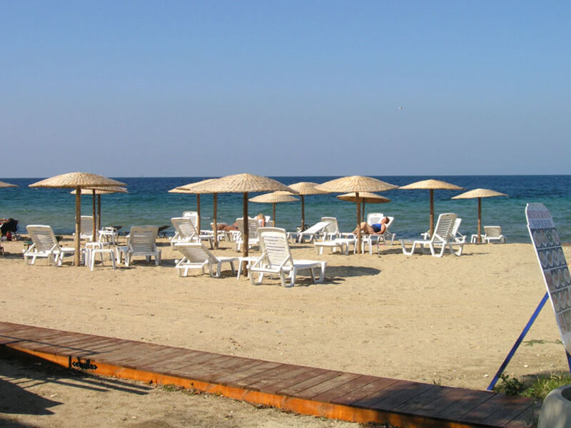 Vranas