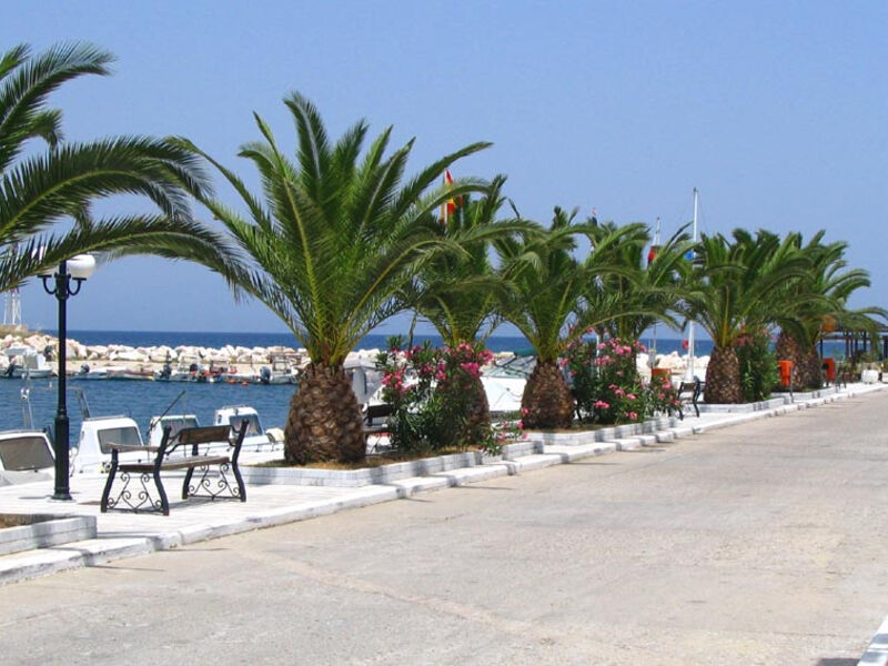 Vranas