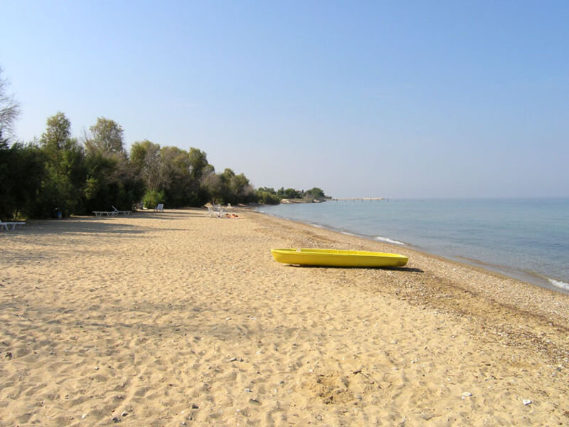 Vranas