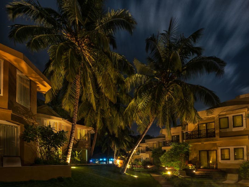 Whispering Palms
