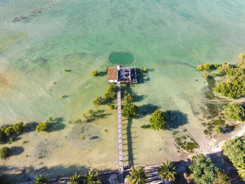 White Paradise Zanzibar