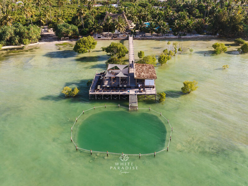 White Paradise Zanzibar
