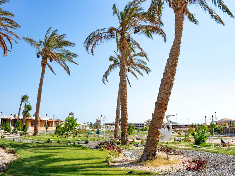 White Valley Palace Resort