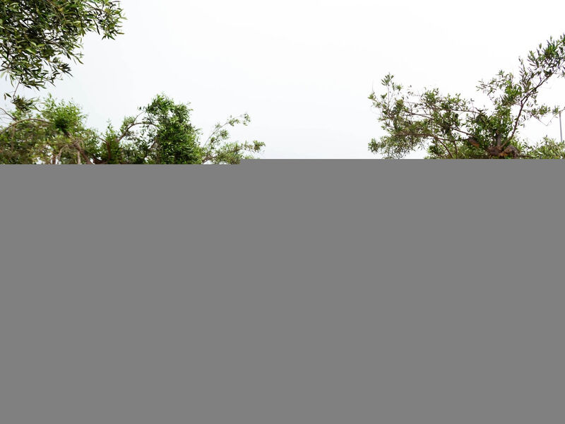 Mirabello Bay Luxury Resort