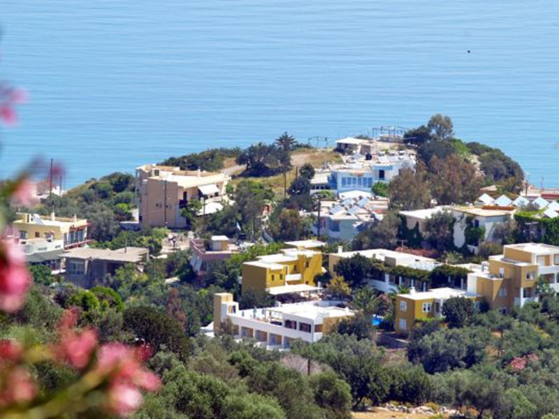 Xidas Garden