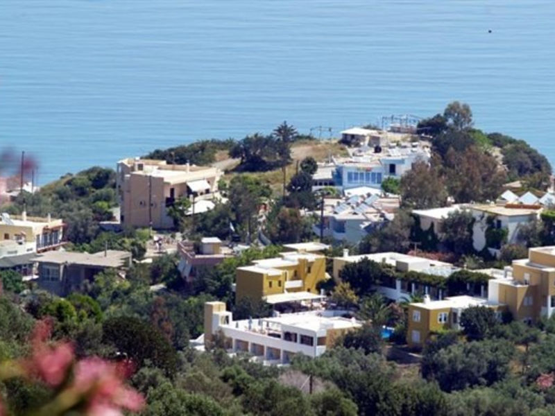 Xidas Garden