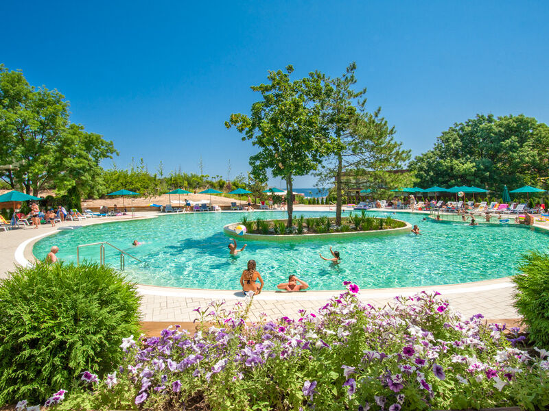 Žeravi Alexandria Club