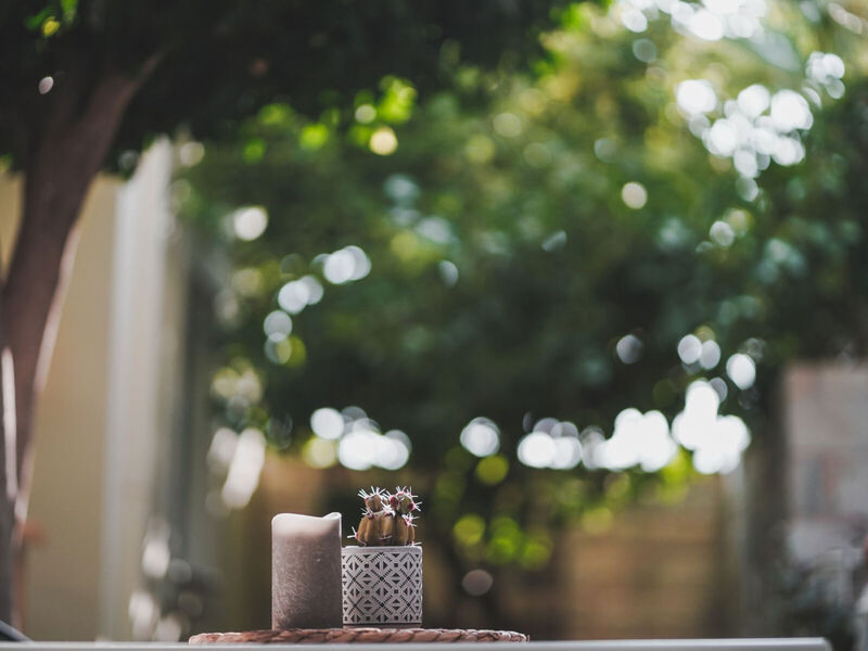 Zeus Village Adults Only