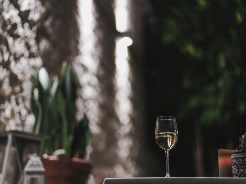 Zeus Village Adults Only