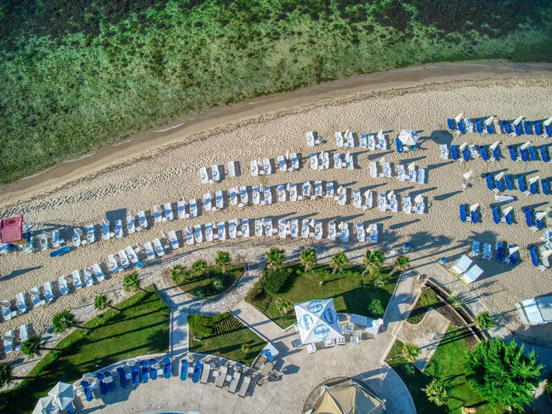 Zornitsa Sands