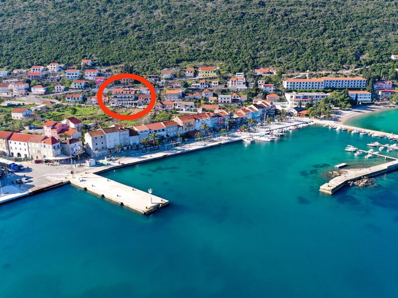 Antunović