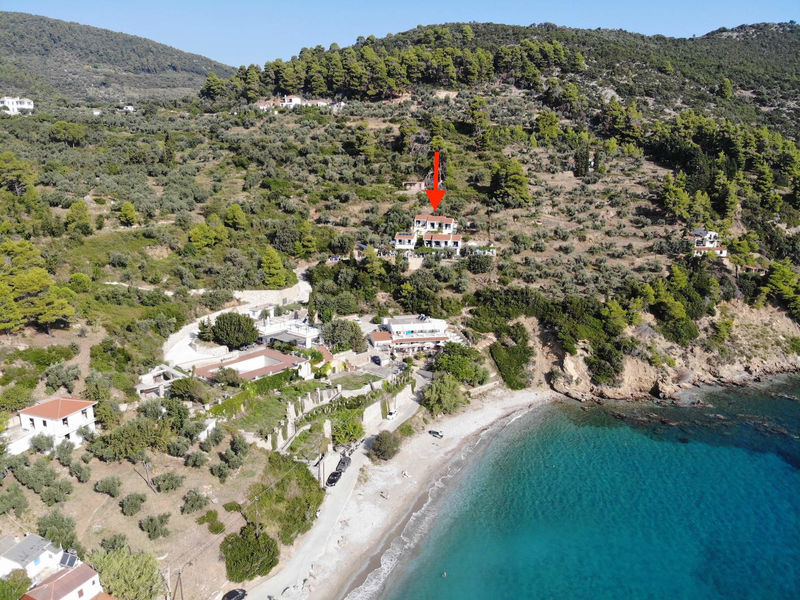 Kavouris