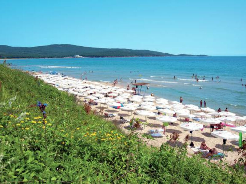Kazakovi