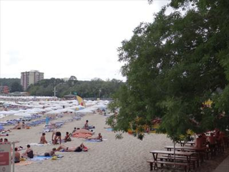 Panorama