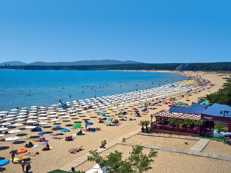 Plamar