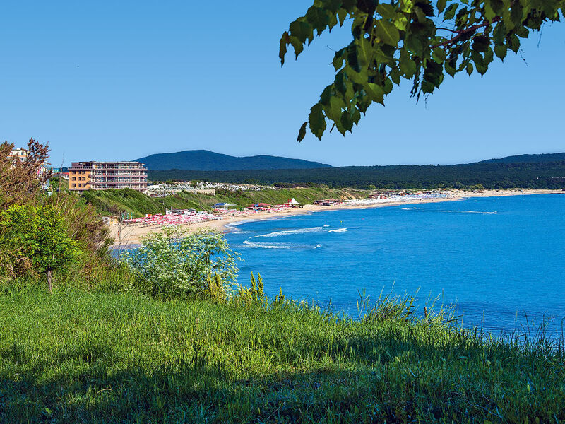 Plamar