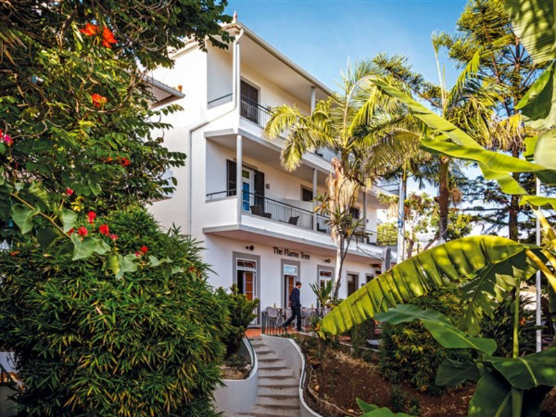 The Flame Tree Madeira