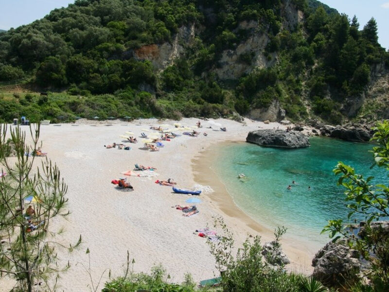 Aliki