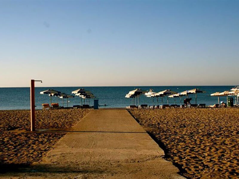 Amaryllis Beach Front