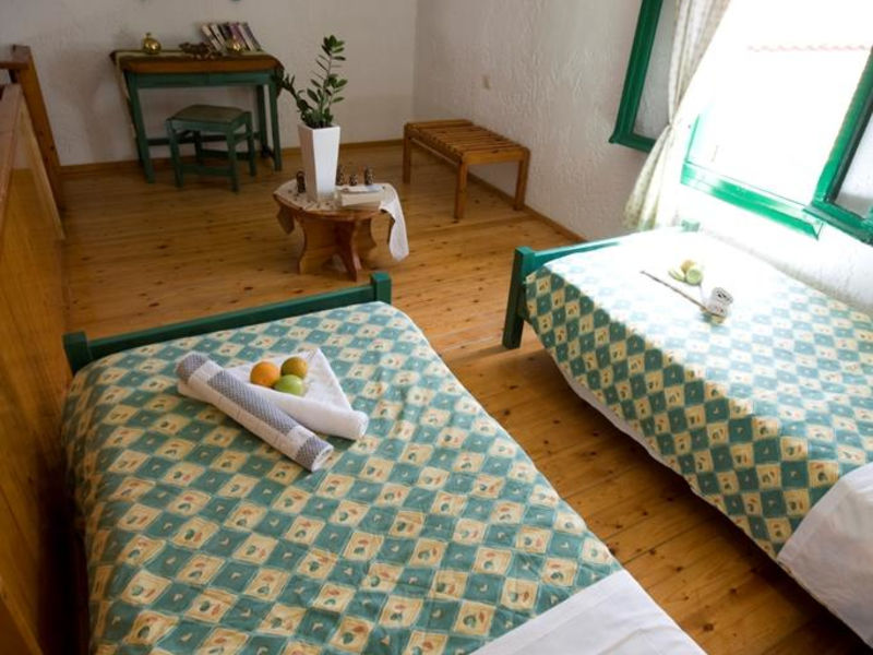 Anemi Studio