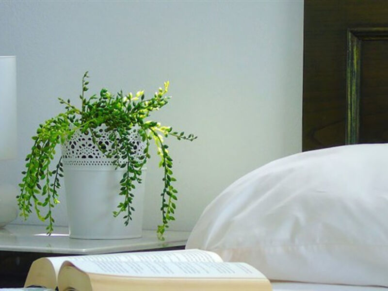 Apartmánový Dům Cybele