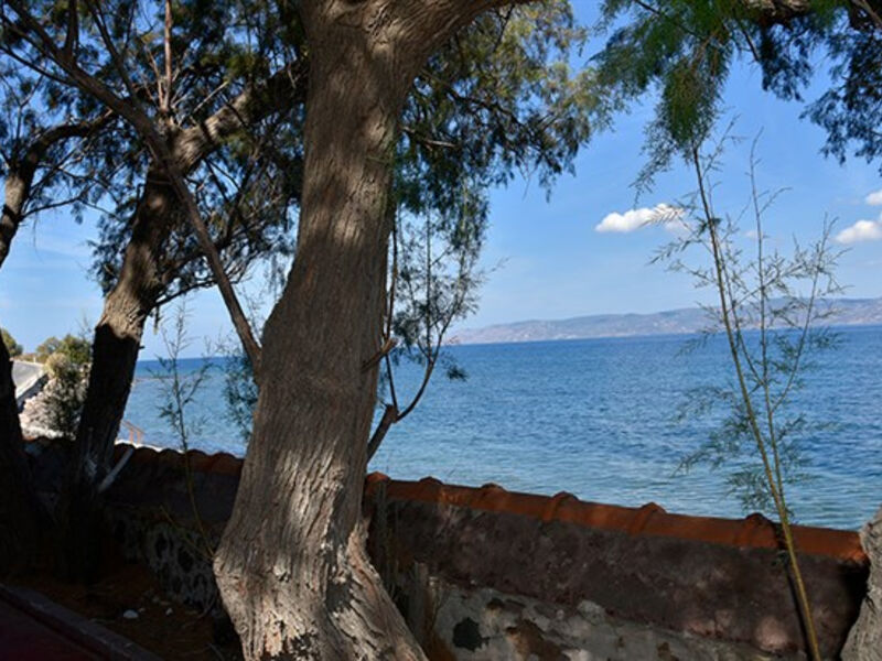 Apartmánový Dům Lela Kaptani Eftalou Olive Grove
