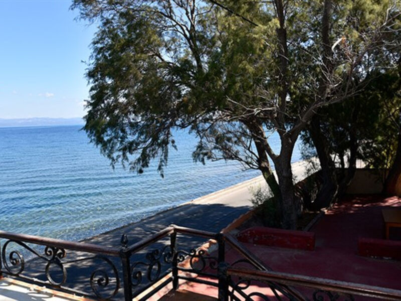 Apartmánový Dům Lela Kaptani Eftalou Olive Grove