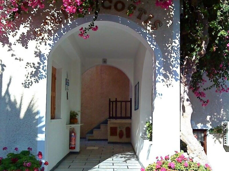 Costis