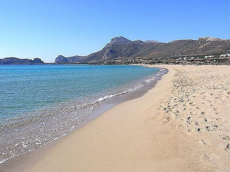 Creta Palm