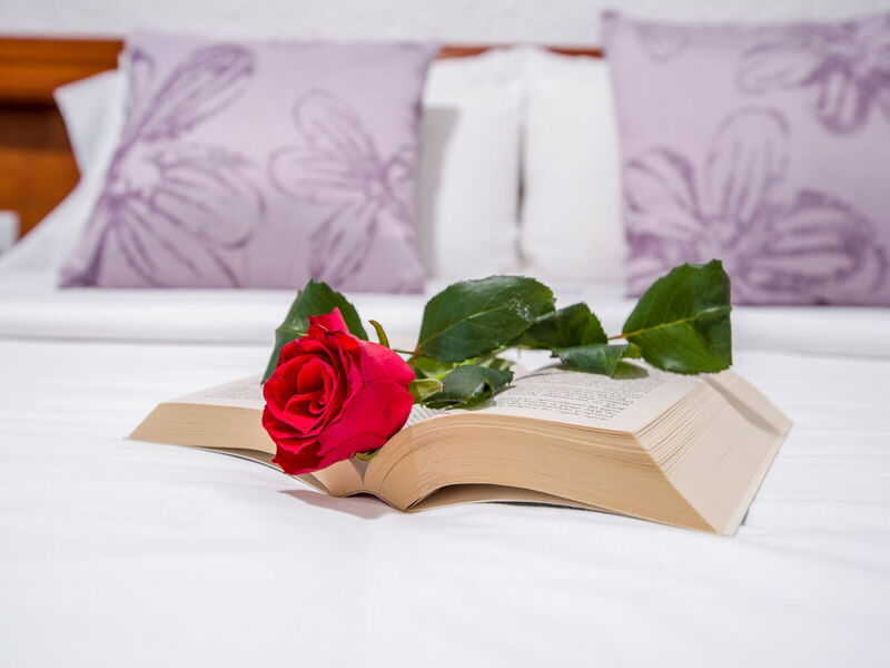 Folia Studios Apartemtns